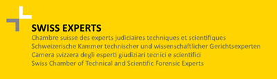 Swiss Engineering Expertenlammer Swiss Engineering Expertenlammer